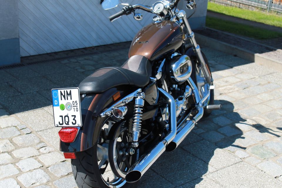 2. Hand Harley Davidson Sportster 1200 Custom Anniversary 110 th in Höhenberg i. T.