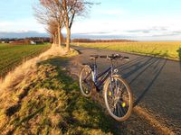 Damenfahrrad 28 Zoll Sachsen - Bannewitz Vorschau