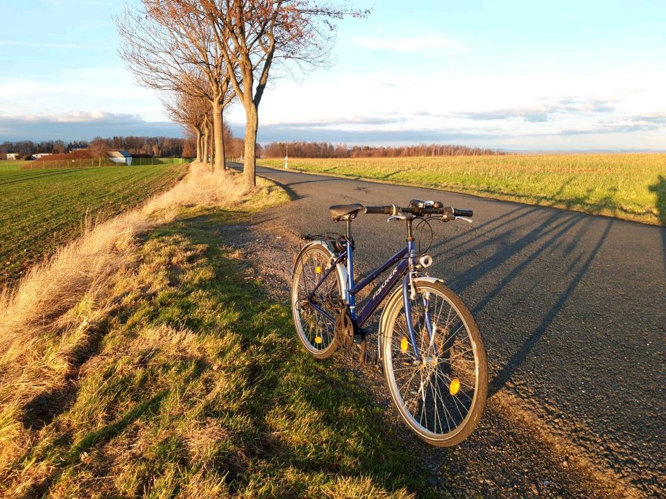 Damenfahrrad 28 Zoll in Bannewitz