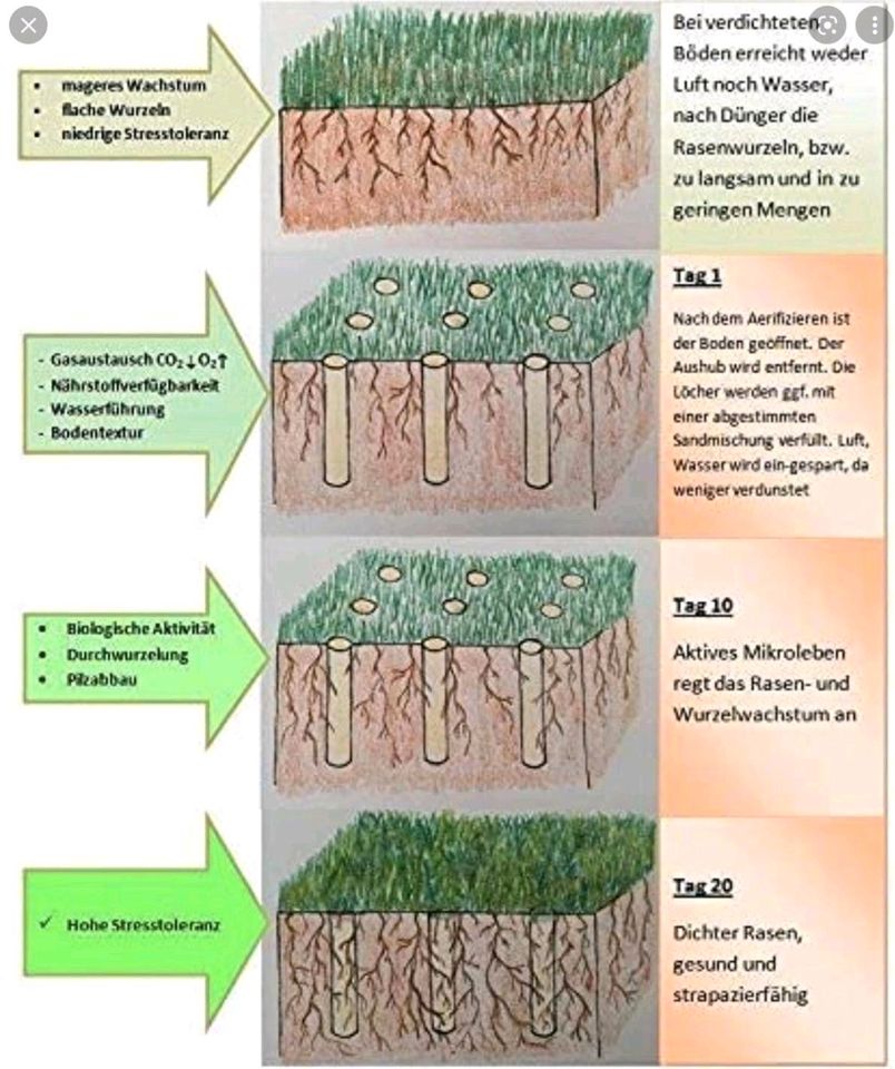 Aerifizierer mieten leihen Rasenspecht Rasenlüfter Rasen Garten in Fridolfing
