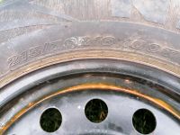 Verkaufe Reifen auf Stahlfelgen Bad Doberan - Landkreis - Schwaan Vorschau