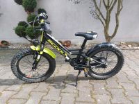 Scool Kinderfahrrad 16 Zoll Hessen - Biblis Vorschau