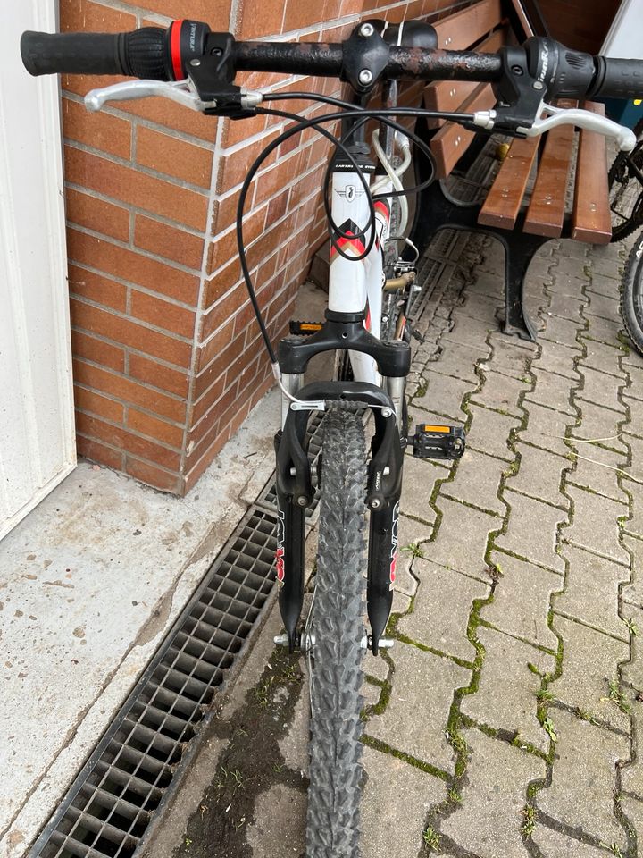 Mountainbike 24 Zoll in Liederbach