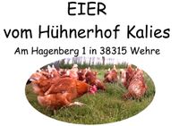 Eier Freilandhaltung und Bodenhaltung 3,50 € für 10 Stück Niedersachsen - Schladen Vorschau