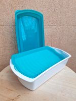 Tupperware Four Season Lunchbox Baden-Württemberg - Remchingen Vorschau