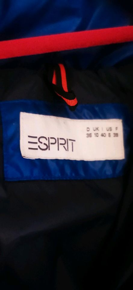 Esprit sehr dicke warme Winterjacke in blau Stehkragen Gr. 36 in Nußloch