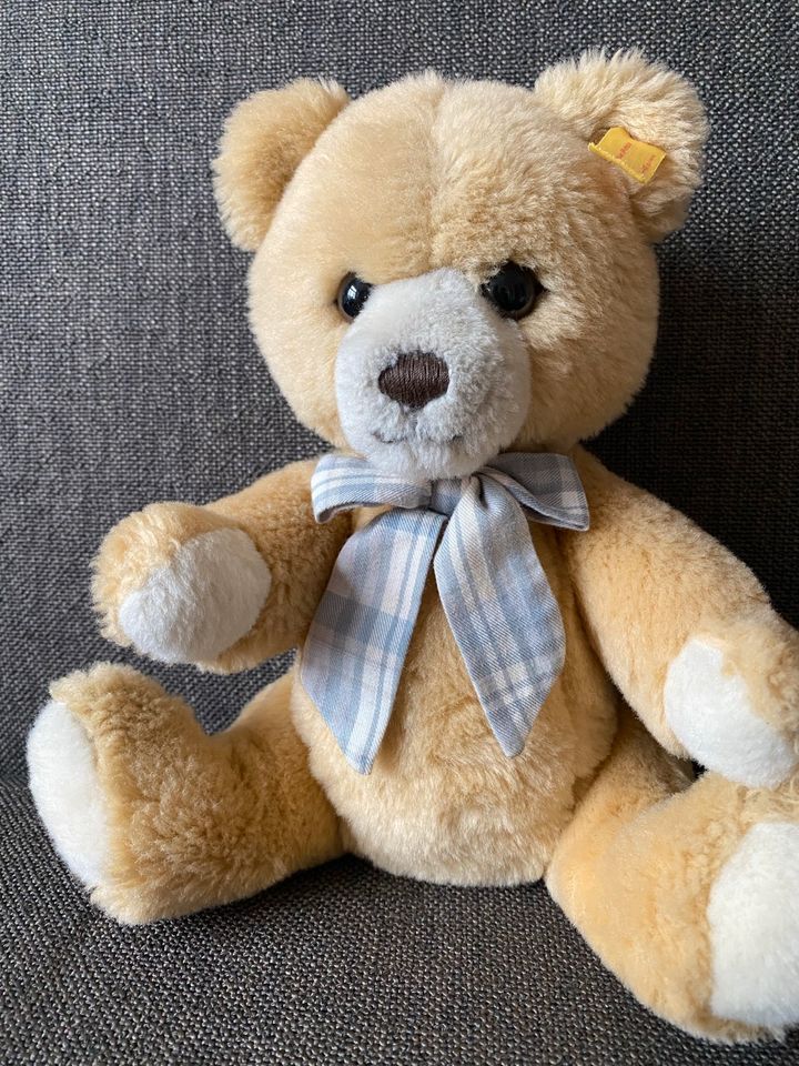 Steiff Teddy Bär Petsy 012265 unbespielt in Hamburg - Altona | Kuscheltiere  günstig kaufen, gebraucht oder neu | eBay Kleinanzeigen ist jetzt  Kleinanzeigen