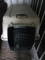 Transport Box. Hunde Box. Hessen - Niestetal Vorschau