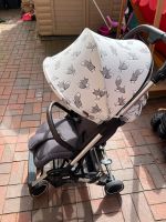 ABC Design Sport-Kinderwagen »Sportwagen Ping, jade« Niedersachsen - Delmenhorst Vorschau