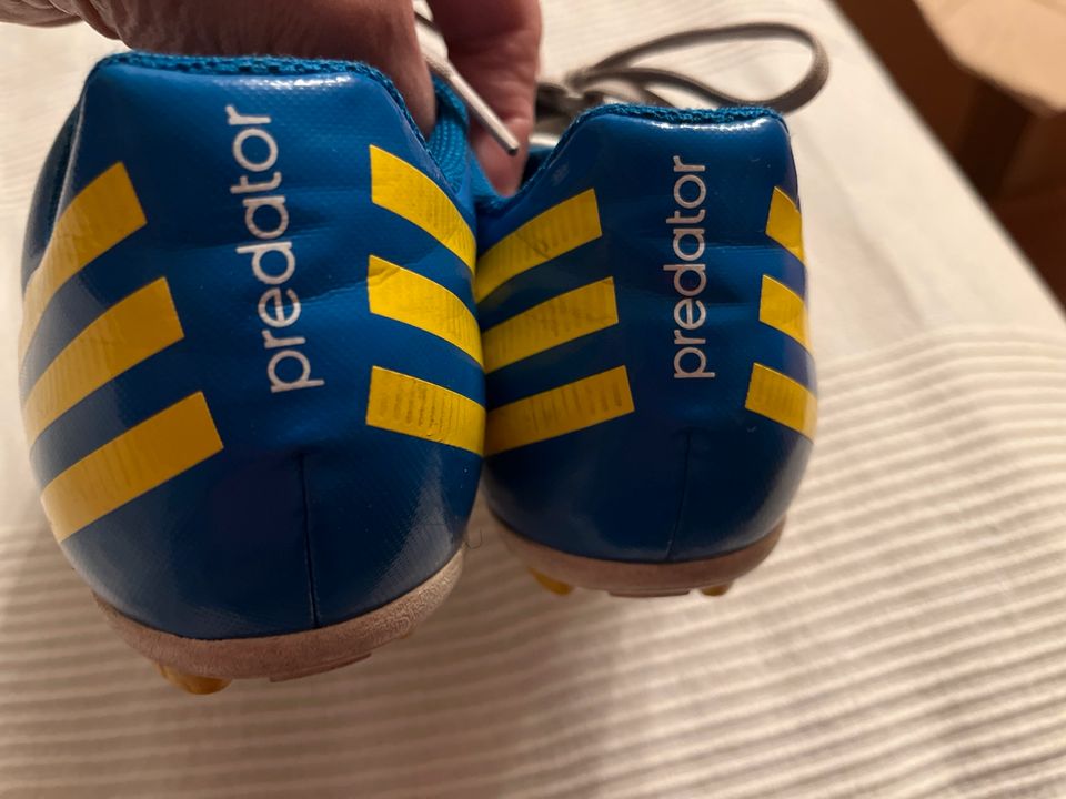 Adidas Predator Fußball Schuhe 38 Stollenschuhe in Harsum