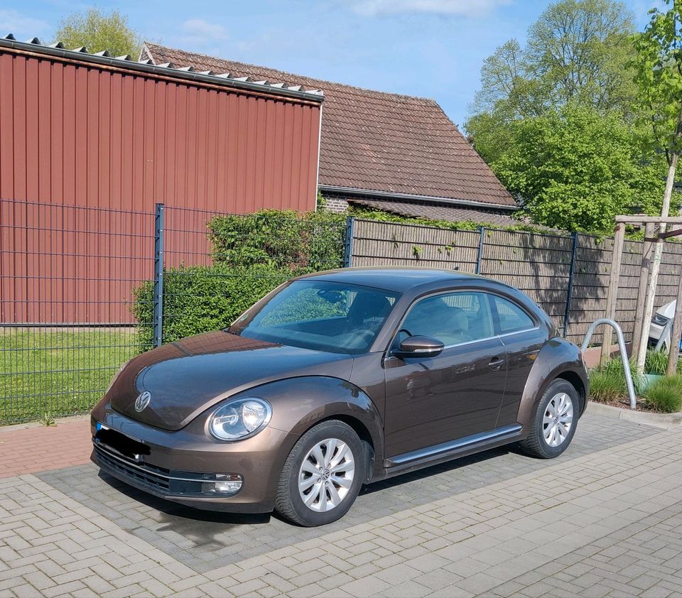 VW Beetle 1.6 TDI DSG Automatik in Rheinberg