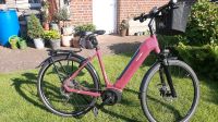 E-Bike der Marke Raleigh 28 Zoll, Niedersachsen - Neuenkirchen-Vörden Vorschau