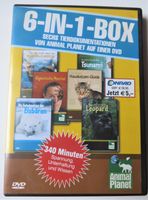 DVD 6-In-1-Box sechs Tierdokumentationen Frankfurt am Main - Nieder-Eschbach Vorschau