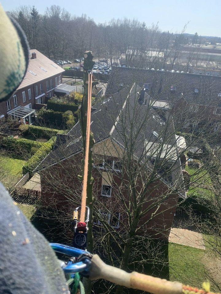 ⚠️Baumpflege,Hubsteiger,Seilklettertechnik⚠️Baumfällung❌, Bagger Sturmschaden Baumschnitt Brennholz vertikutieren in Ellerau 