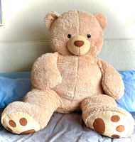 Teddybär XXL, Hallo ich heiße Teddy :-) Nordrhein-Westfalen - Meerbusch Vorschau