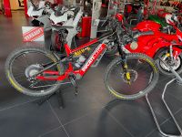 Ducati E-Bike TK-01 limited Edition Grösse L Königs Wusterhausen - Kablow Vorschau