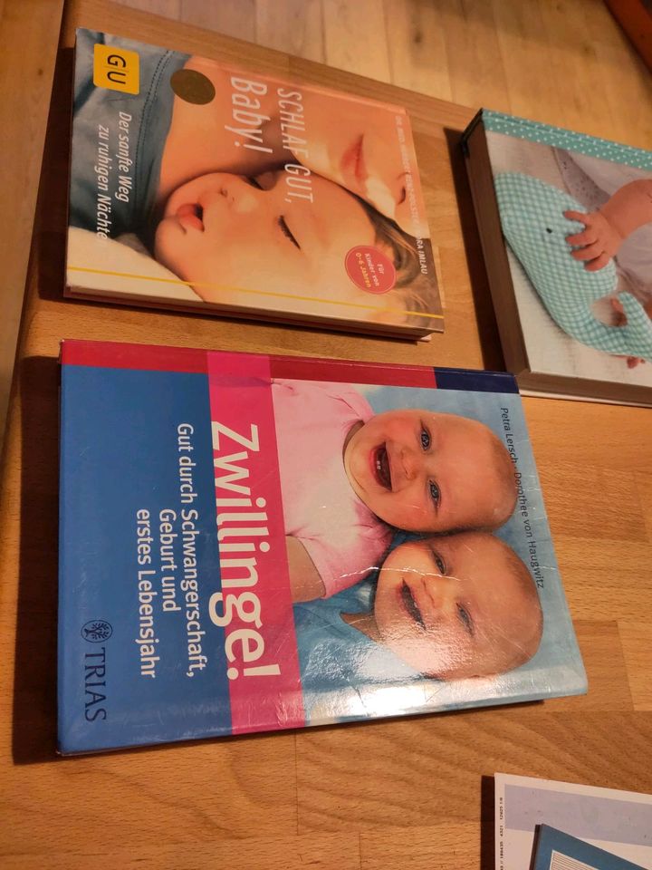 Bücher Baby Konvolut Zwillinge in Walderbach