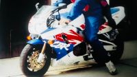 Suche Honda CBR 900 RR Fireblade Brandenburg - Seelow Vorschau