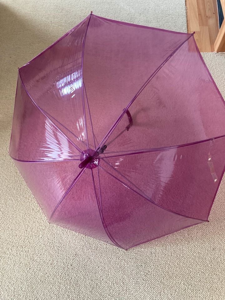 Biete neuen Regenschirm in lila in Dresden