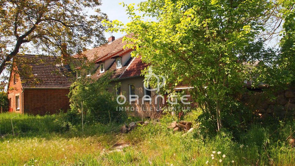 ***Großes Haus mit Charme für Naturliebhaber*** in Marienfließ