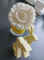 Scentsy Duftblumen versch. Düfte Dahlia Belle Stunning Sunflower Sachsen - Schkeuditz Vorschau