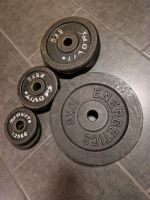 Gewichte Set 37,5KG 30/31mm Gusseisen Gewichtscheiben Bayern - Heroldsbach Vorschau