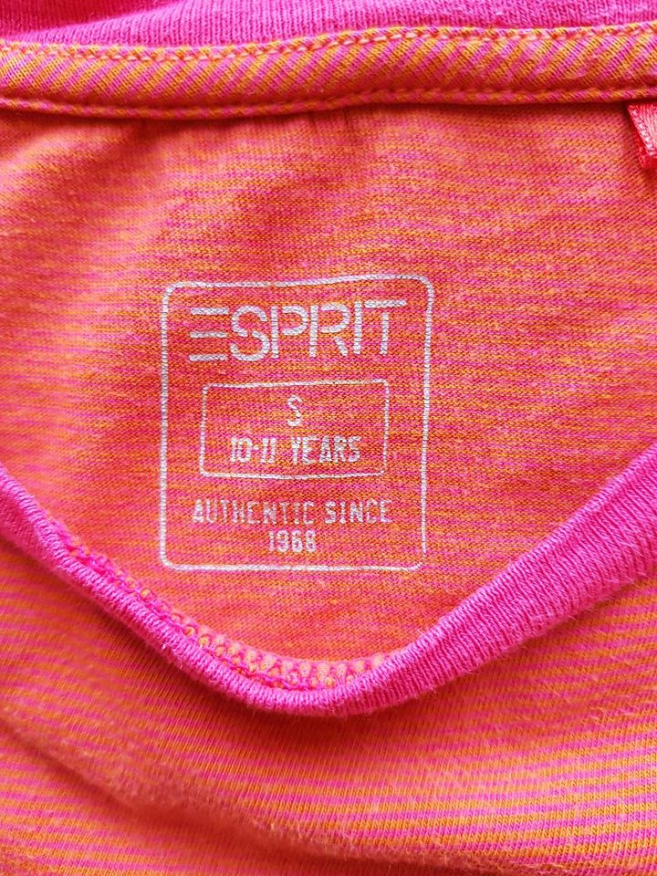 Shirts Gr. S (140/146) Esprit edc 2 Teile in Wadern