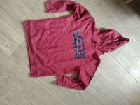 Pullover Hoodie Kapuzenpullover VANS TOP Gr. large etwa 158/164 Sachsen - Lengefeld Vorschau