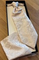 Plastron / Hochzeitsanzug Niedersachsen - Schönewörde Vorschau