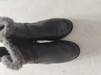 Voll gefütterte Stiefeletten, Esmara Gr- 37 Nordrhein-Westfalen - Brühl Vorschau