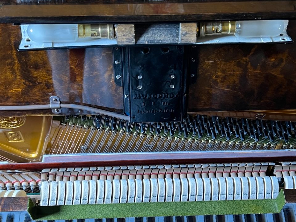 C. Bechstein Klavier Model 8 - 128, Baujahr 1950 Wurzel braun in Ahrensburg