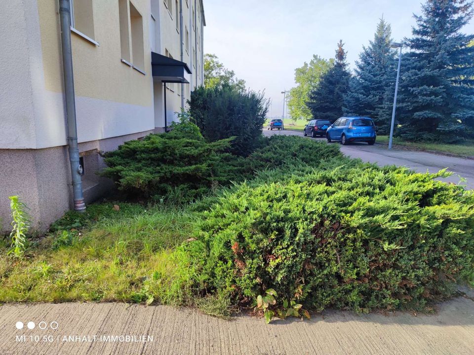 Gemütliche 3-Raumwohnung mit Balkon und Badewanne in Roitzsch