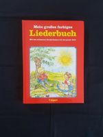 Mein großes farbiges Liederbuch Unipart Verlag Stuttgart Buch Baden-Württemberg - Weil am Rhein Vorschau