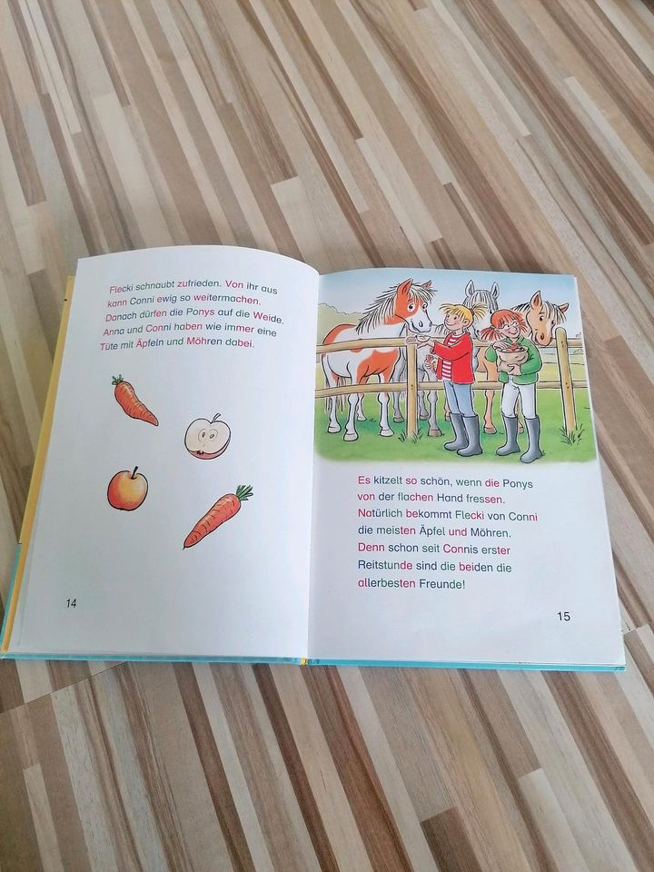 Conni Silben-Geschichten Buch in Ronnenberg