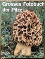 H. Kleijn, Großes Fotobuch der Pilze Baden-Württemberg - Haigerloch Vorschau