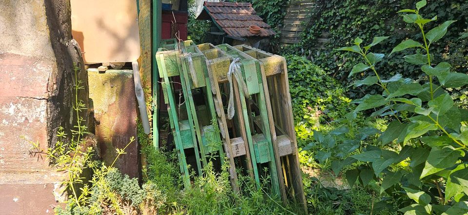 Einweg Palleten in Bochum