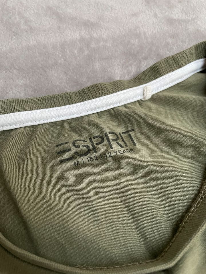 T-Shirt von Esprit | Größe 152 in Dresden