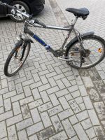 Gebrauchtes Trekkingfahrrad Essen - Essen-Werden Vorschau