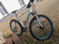 Fahrrad gefunden Brandenburg - Spremberg Vorschau