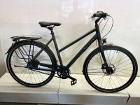 ‼️ Raleigh Urban Devon 28" Fahrrad 8 Gang Shimano Nexus Riemen Niedersachsen - Wunstorf Vorschau