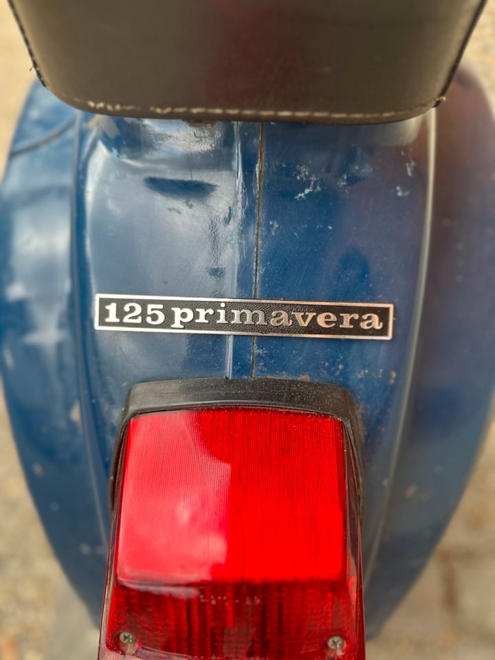 Olack Patina Vespa 125 Primavera in Parkstetten