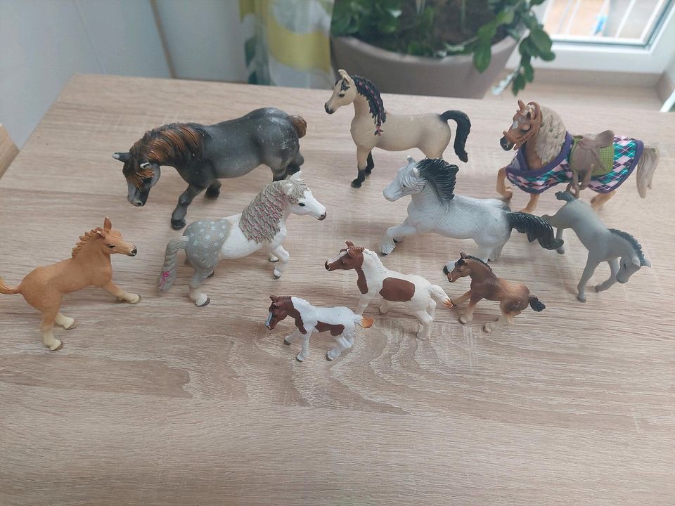 SET 17: Schleich Horse Club in Osterhofen