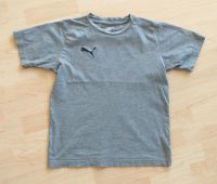 Puma T -Shirt Grau Niedersachsen - Ostrhauderfehn Vorschau