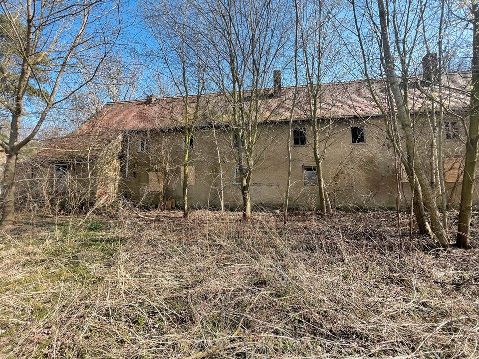 Großes Grundstück an der Saale mit Wasserzugang in Lützen