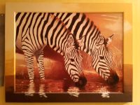 Wandbilder "Africa Style" mit Rahmen - 2 Stück (Zebras+Elefanten) Nordrhein-Westfalen - Nettersheim Vorschau