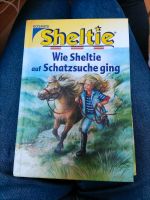 Wie Sheltie auf Schatzsuche ging Nordrhein-Westfalen - Nottuln Vorschau