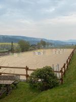 Pferdeboxen Nordrhein-Westfalen - Sundern (Sauerland) Vorschau