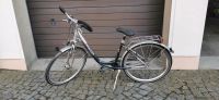 Damen Fahrrad Barracuda Sachsen - Steina Vorschau