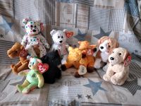 Ty Beanies- Giraffe,  Kamel, Hund, Bär, Teddy , alt Wandsbek - Hamburg Hummelsbüttel  Vorschau