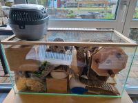 Nager/Hamster Terrarium Komplettset mit Tisch Baden-Württemberg - Möckmühl Vorschau